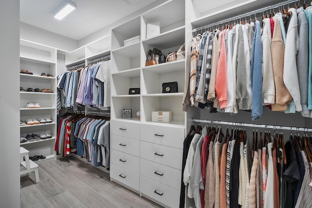 view of walk in closet