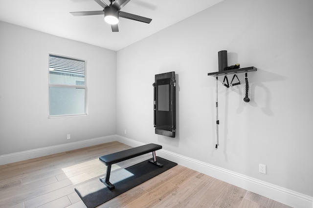 exercise room featuring ceiling fan and light hardwood / wood-style flooring