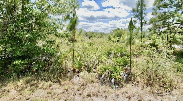 3362 Rhododendron Rd, Lake Placid FL, 33852 land for sale