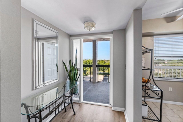 doorway featuring ceiling fan, wood-type flooring, and a wealth of natural light