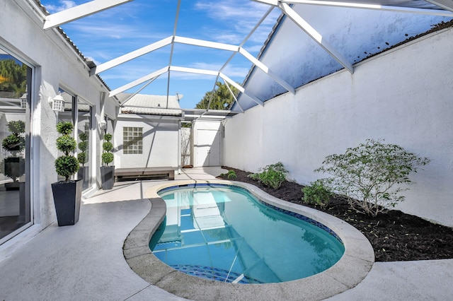 view of swimming pool with a lanai and a patio area