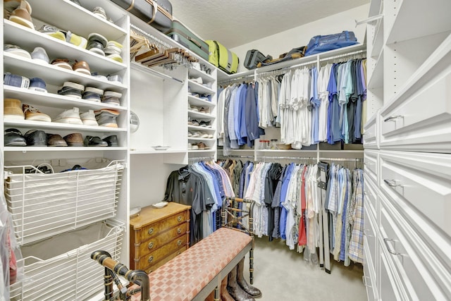 spacious closet with carpet flooring