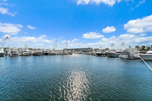 view of water feature with a dock