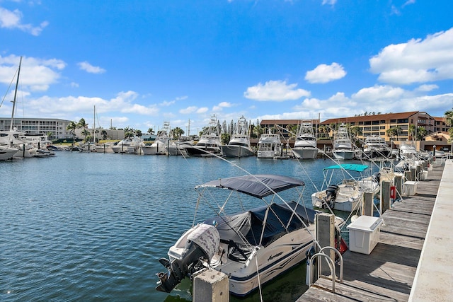 dock area with a water view