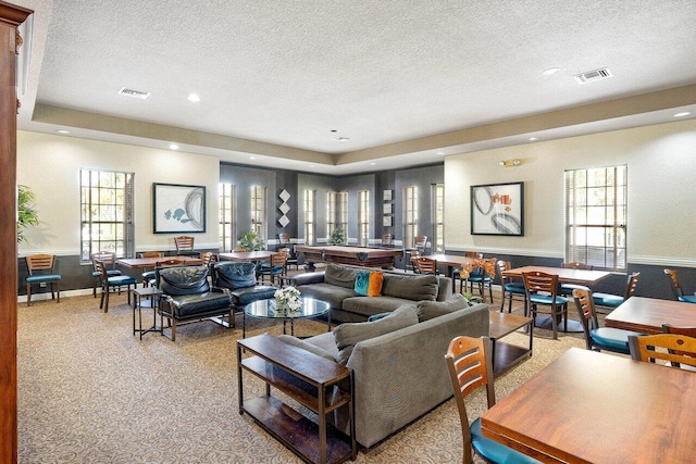 living room with a textured ceiling