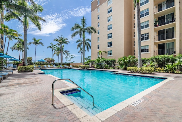 view of swimming pool featuring a patio