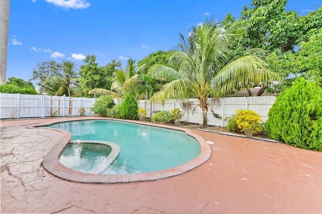 view of swimming pool featuring a patio