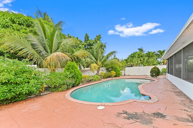 view of swimming pool with a sunroom and a patio