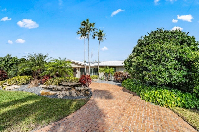 ranch-style home featuring a front lawn