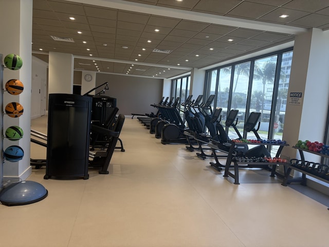 gym featuring expansive windows and a paneled ceiling