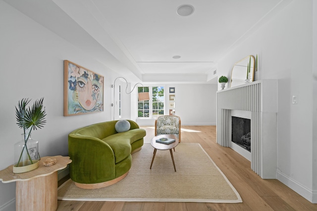 living room featuring a raised ceiling and light hardwood / wood-style flooring