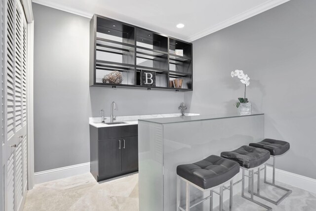 bar featuring sink and ornamental molding