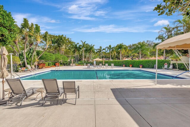 view of swimming pool with a patio