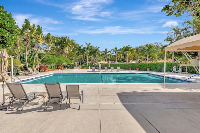 view of pool featuring a patio area