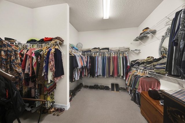 walk in closet featuring carpet