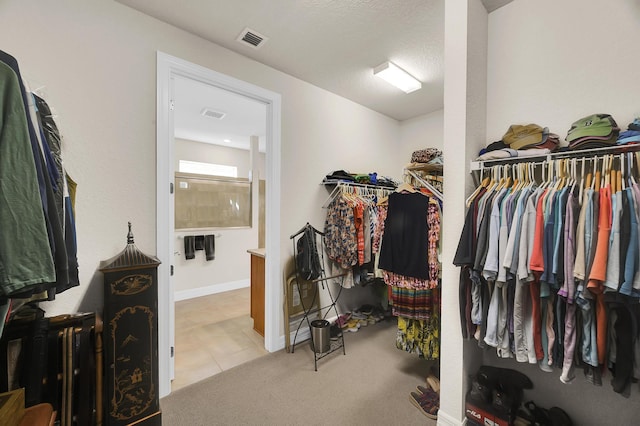 walk in closet with light colored carpet