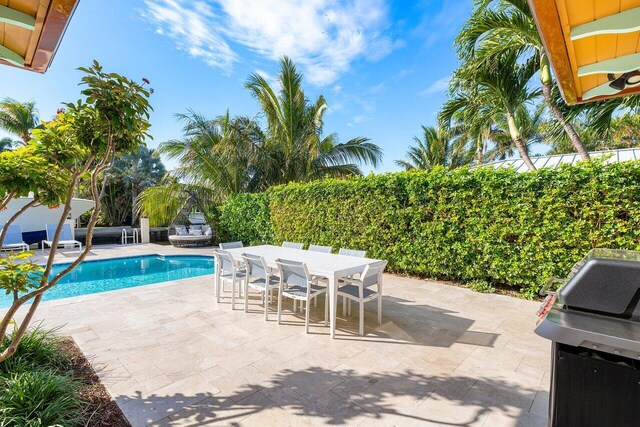 view of swimming pool featuring a patio area and area for grilling