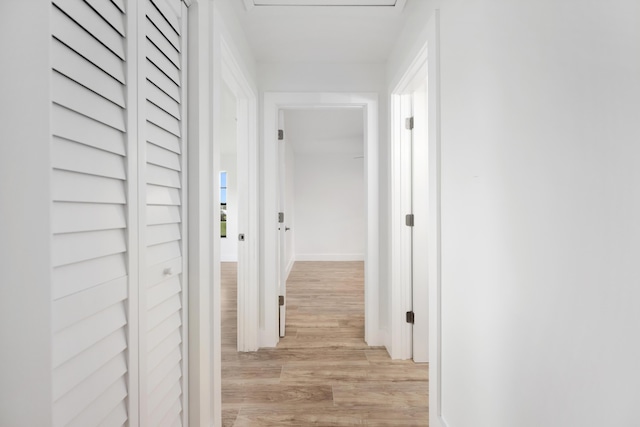 hall featuring light hardwood / wood-style floors