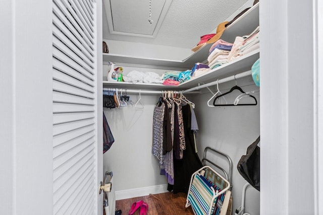 walk in closet featuring dark wood-type flooring