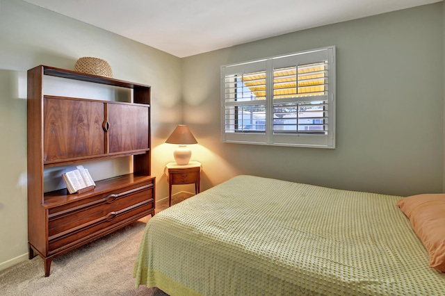 bedroom featuring carpet