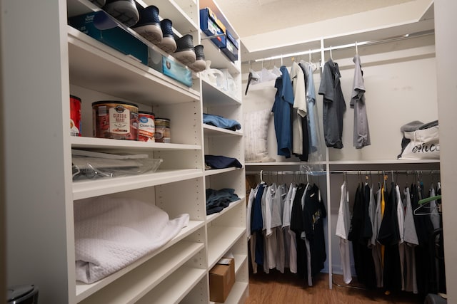 walk in closet featuring hardwood / wood-style floors