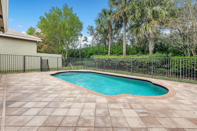 view of pool featuring a patio