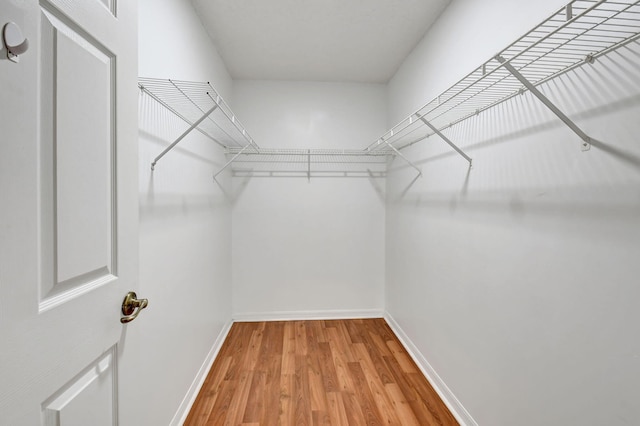 walk in closet featuring light hardwood / wood-style floors