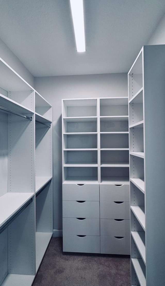 walk in closet with dark carpet