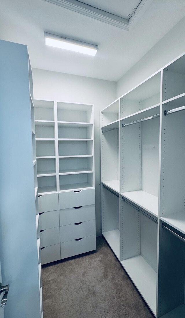 spacious closet featuring dark colored carpet