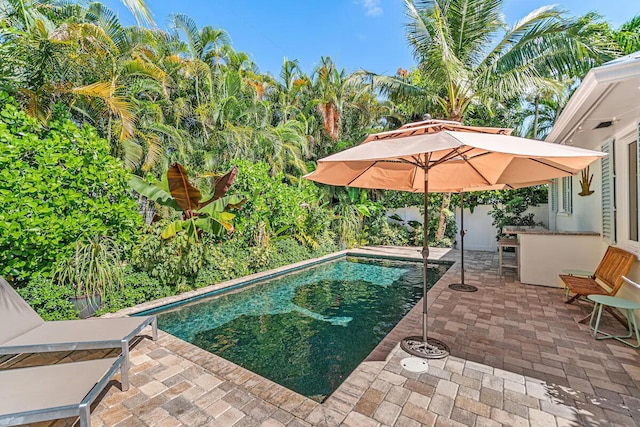 view of swimming pool featuring a patio