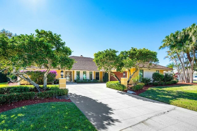 view of front of home with a front lawn