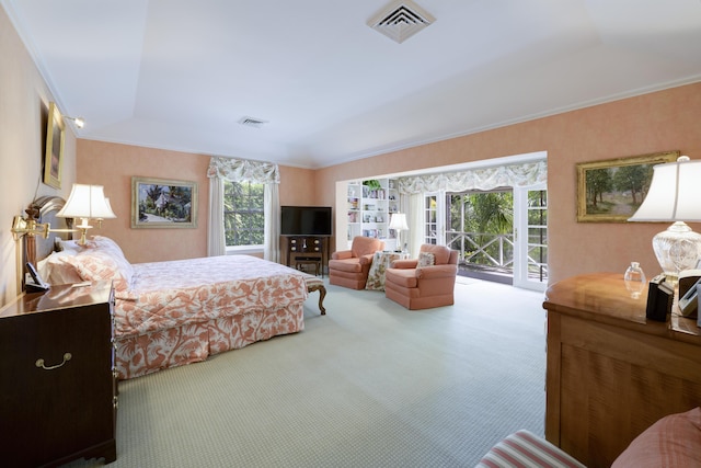 carpeted bedroom featuring access to exterior, a tray ceiling, and ornamental molding