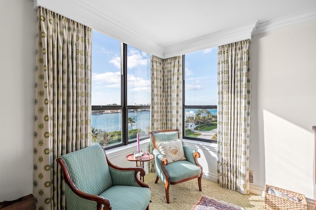 sitting room featuring crown molding and a water view