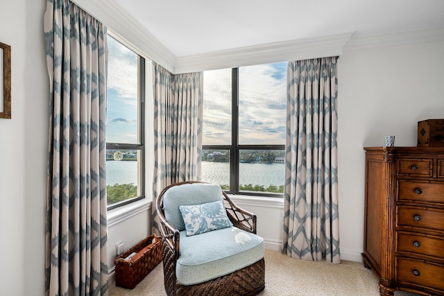 sitting room with carpet, crown molding, and a water view