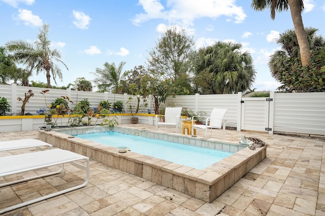 view of pool with a patio area