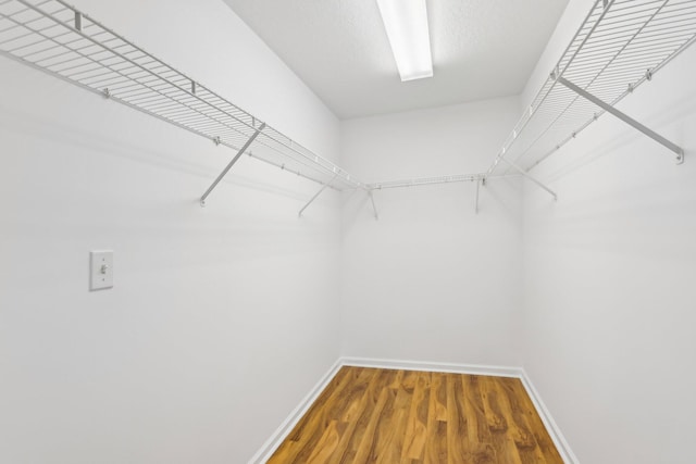 spacious closet featuring wood-type flooring