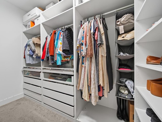 walk in closet featuring carpet floors