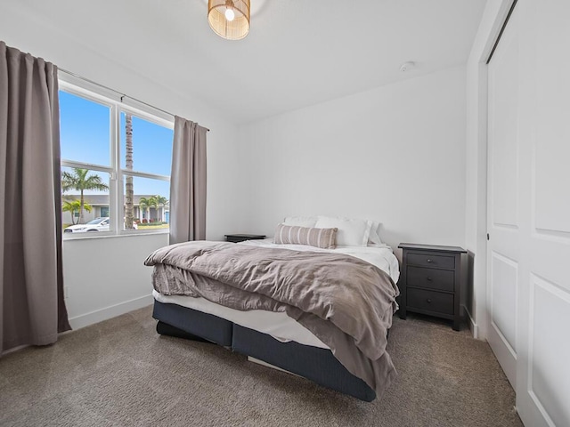 bedroom featuring carpet floors and a closet