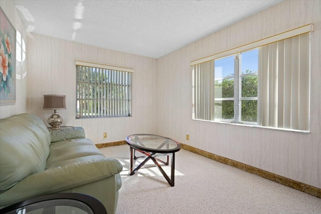 carpeted living room featuring a textured ceiling and a wealth of natural light