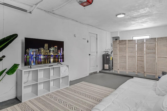 interior space featuring electric water heater and a garage door opener