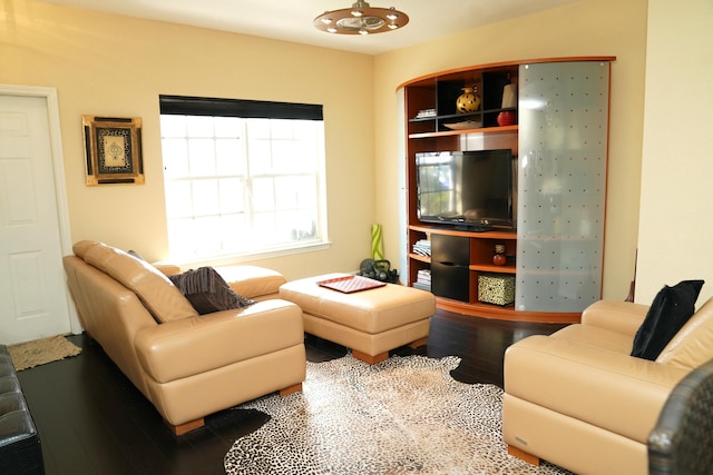 living room with wood-type flooring