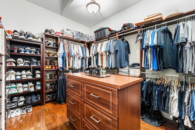 walk in closet featuring hardwood / wood-style flooring