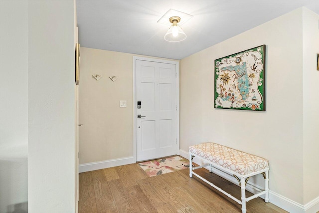 entryway featuring hardwood / wood-style floors