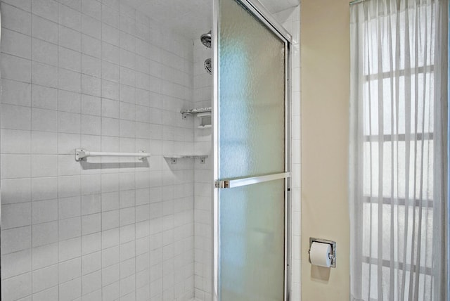 bathroom with a shower with door and a wealth of natural light