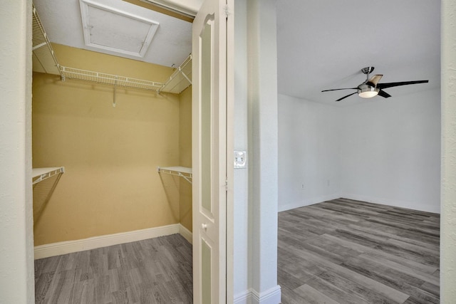 walk in closet with ceiling fan and light hardwood / wood-style flooring