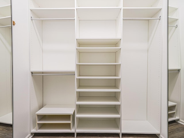 walk in closet with wood-type flooring