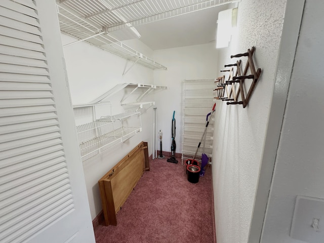 walk in closet featuring carpet floors