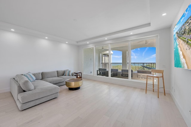 living room featuring a tray ceiling and light hardwood / wood-style flooring