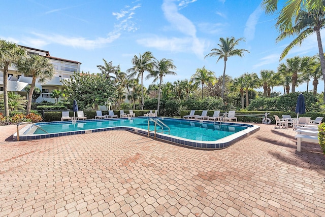 view of pool featuring a patio area