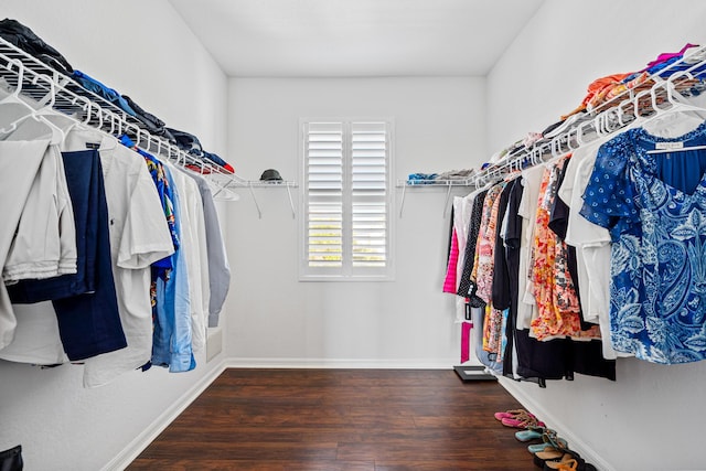 walk in closet with wood finished floors